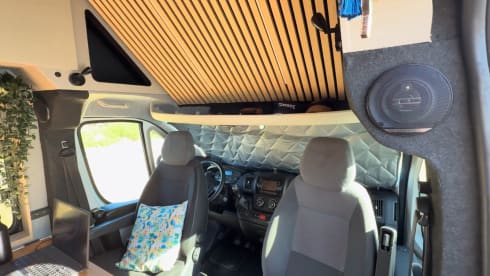 Brasil – 2-Sitzer Citroën-Bus aus dem Jahr 2015