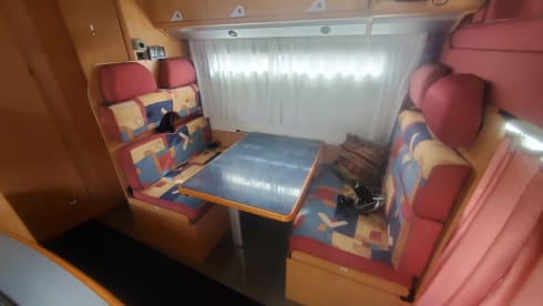 Camper Pino60 – Perfect for "FAMILY" and compact!