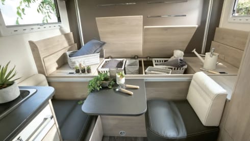 Sheddie – Luxury Motorhome With Solar Power