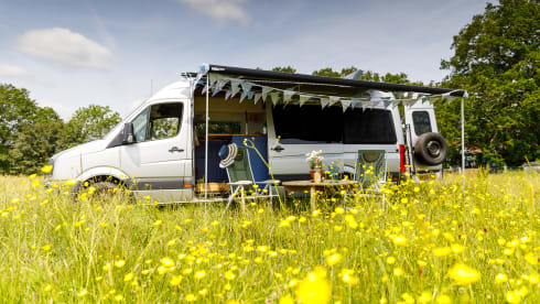 Hoots – 2 berth Volkswagen campervan from 2016