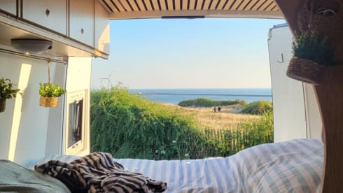 Vino – Vino de Van 3p Volkswagen campervan