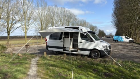 3p Mercedes-Benz bus from 2016