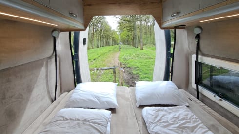 2p Other bus from 2024