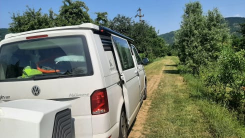 2 to 6 persons Volkswagen Style VAN