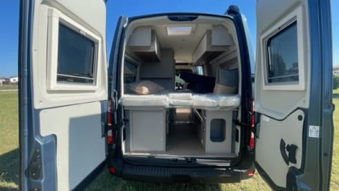 WAVE RIDER – DOLPHIN C 621
