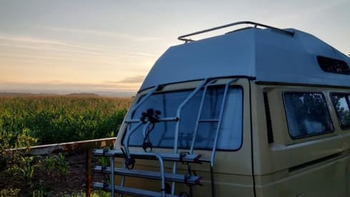 Frieda – Frieda the Automatic VW T25 Campervan