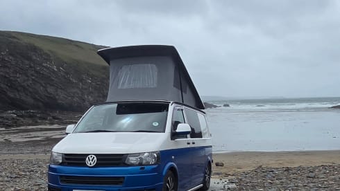Bluey  – Camper Volkswagen a 4 posti letto del 2012