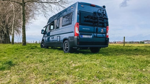 Carado Bus camper from 2022