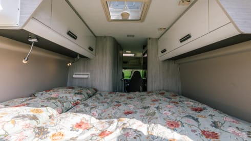 Jackie's hut – Beautiful Peugot Camperbus, 150 HP