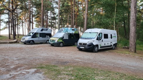 Busfahrer100 – Kleurrijke Nugget Nobby klaar om te gaan