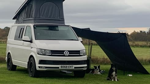 Beth – *Insured*  VW T6 Highline Campervan 2018 