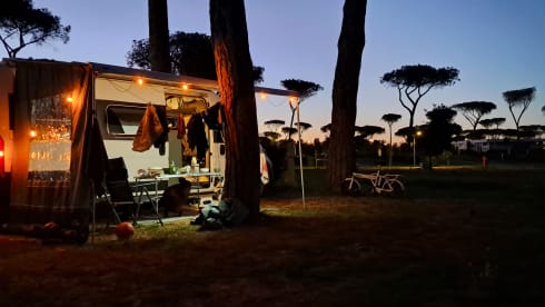 5 Personen Bus Camper ab 2019