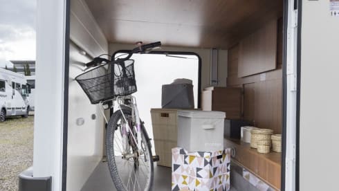 zipvana – ELNAGH BARON 560