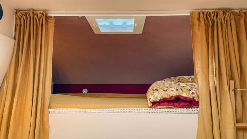 Miss Honey –  The most stylish family camper is looking for warm adventurers!