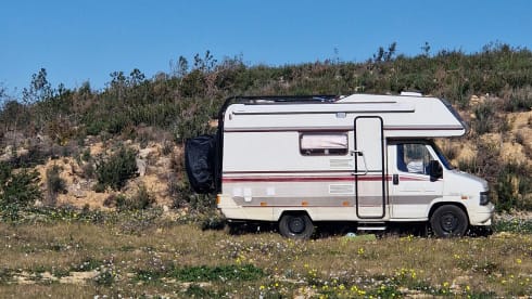 Liberty – Alcove camper 