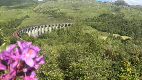 Bamboo Buck – Hashtagcampeurs 