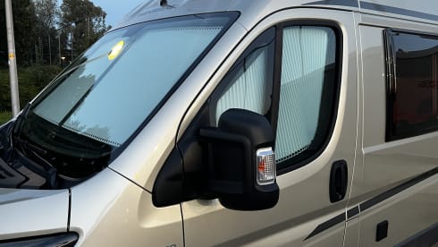 4p Fiat bus from 2018
