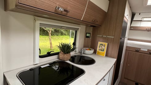 6 Berth Fiat Alcove 2020