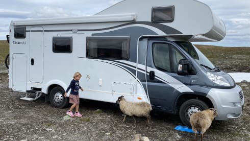 De Glucksmobil! – 6 person family camper Alcove