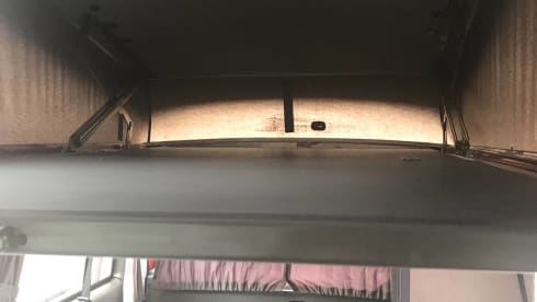  Mastodonnie – VW T4 camper van with lifting roof