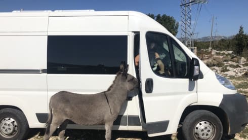 home on wheels – 2p Peugeot bus from 2014