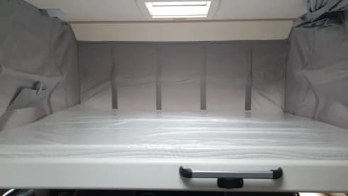 C31 – 4p Sunlight integrated from 2020