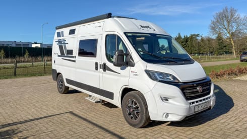 Witte Vlegel – Mclouis Menfys Matic 