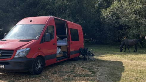 Clifford  – Mercedes campervan met 4 slaapplaatsen