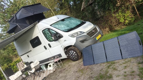Duc – Minibus Fiat 4 places de 2015