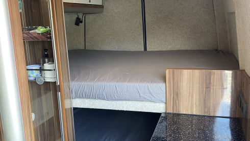 Autobus Volkswagen a 4 posti letto del 2016