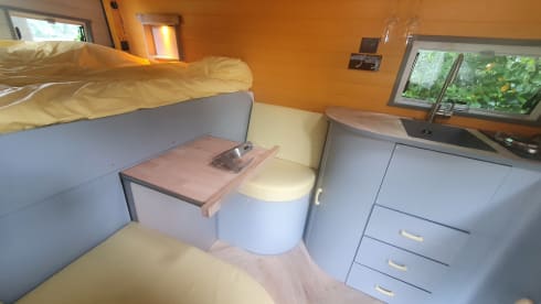 Gele Gerrie – Nothing is too crazy in this luxurious cat! Underfloor heating, coffee or a glass of wine?
