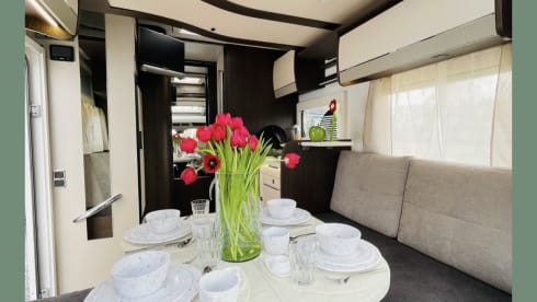 12. Cook – Luxury Motorhome Benimar Tessoro 468 Northautokapp