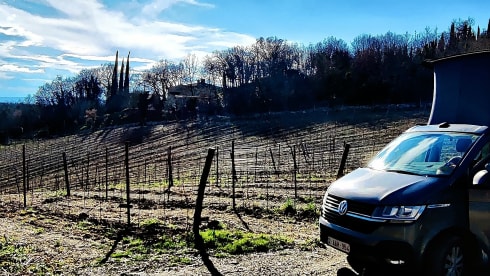 NOUVEAU VW CALIFORNIA AVEC PORTE-VÉLOS