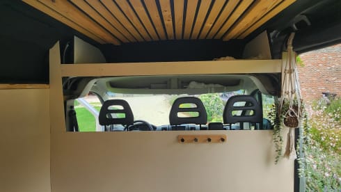 Elsie – 2p Fiat bus from 2014