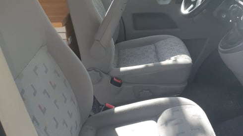 Wood live – Rent a VW T5 Wood live