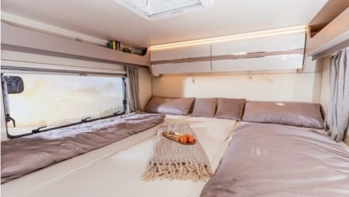 Elina – Ahorn Canada AE