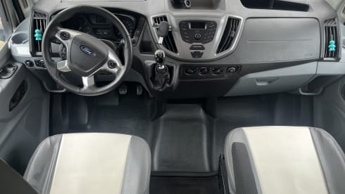 Wolly – 5p Ford alcove from 2019