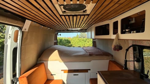 Autobus Fiat 2p del 2016