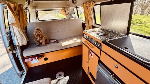 Dottie  – 4 berth classic Volkswagen t2 campervan 