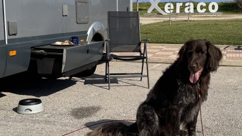 "Popeye II' – Very luxurious, spacious 4p Hymer B514 CL Silver Line, XXL garage, 160 hp