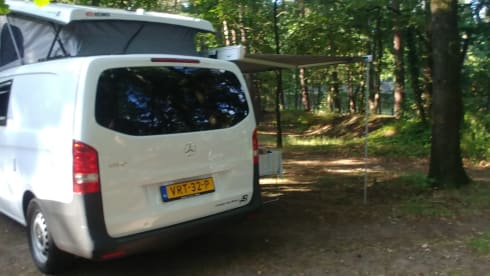 Zonnegeel – 3 person Mercedes-Benz bus from 2017