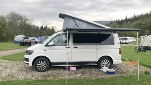 Petunia – Petunia the Campervan