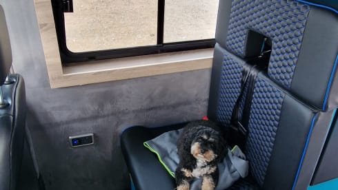 Keegmeister – 5 berth Ford Transit High Top Conversion
