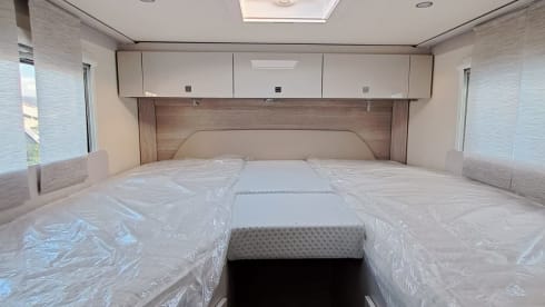 Lineo T 2023 – Line T 2023