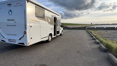 GOLFHUT – Mobil home + Climatisation + Wifi