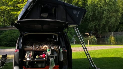 Buzzer – Roadtripper ID Buzz