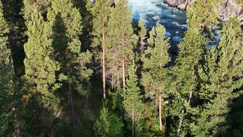 Kees ''Keesie'' de Kemper – Mooie Opel camperbus voor 2 personen