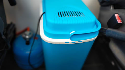 Kermit – On an adventure with our fantastic Kermit the bus camper!