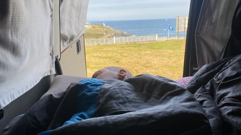 Carloz – * VW California Westfalia - Full option Campervan *