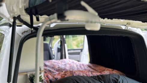 Vanny Blue – Luxurious & attractive VW camper Woodpecker - 4p